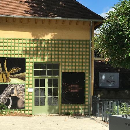 Charmante Maison Bourguignonne Avec Grand Jardin Et Parking مونبار المظهر الخارجي الصورة
